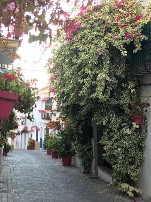 Casa Maria Daire Estepona Dış mekan fotoğraf